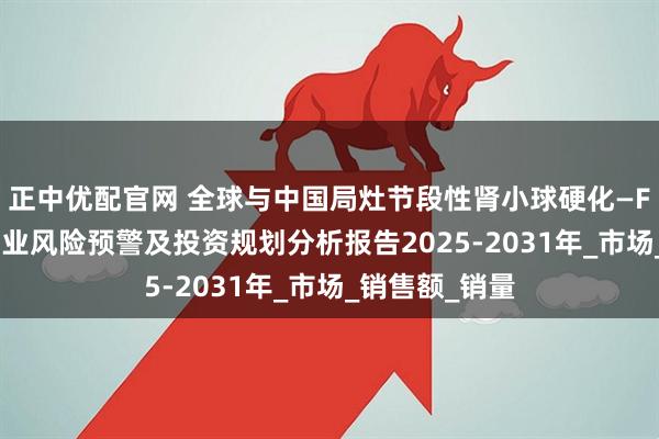 正中优配官网 全球与中国局灶节段性肾小球硬化—FSGS的治疗行业风险预警及投资规划分析报告2025-2031年_市场_销售额_销量
